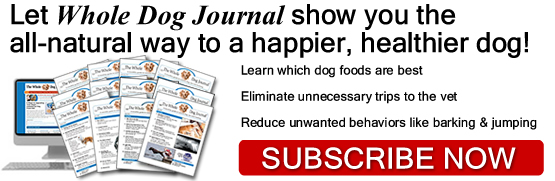 Subscribe to Whole Dog Journal