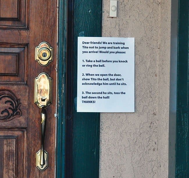 3 Steps For Solving Your Dog s Overexcited Behavior at the Door