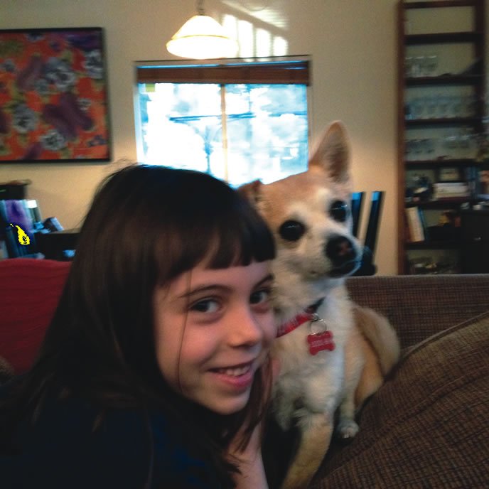 chihuahua and little girl