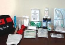 What is needed in a first aid kit for dogs, and what is inessential.