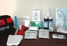 What is needed in a first aid kit for dogs, and what is inessential.