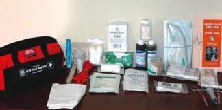 What is needed in a first aid kit for dogs, and what is inessential.