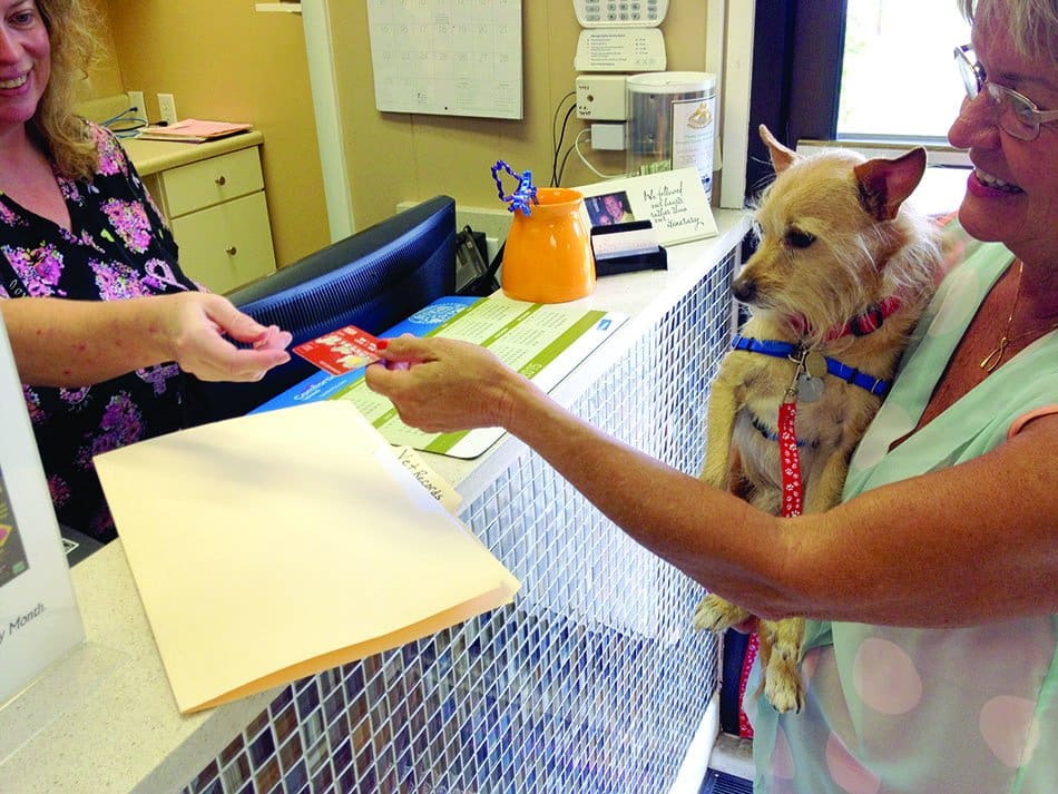 using credit card at vet clinic