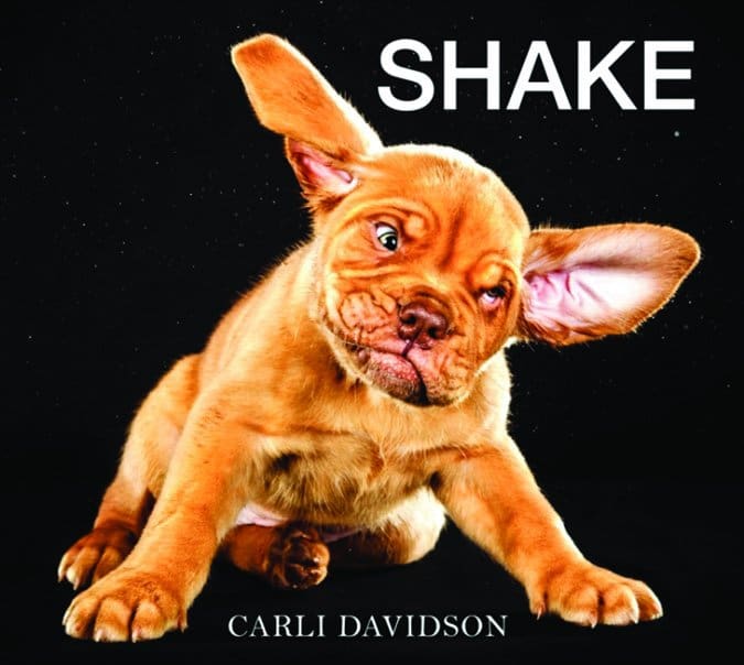 Shake Puppies by Carli Davidson