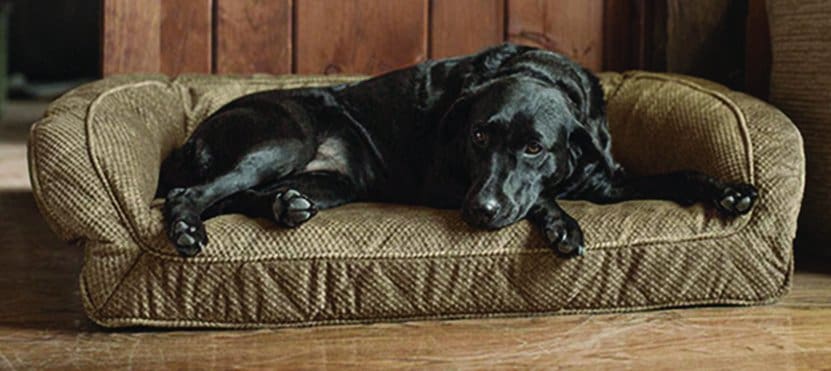 Orvis’s Tempur-Pedic Deep Dish bed