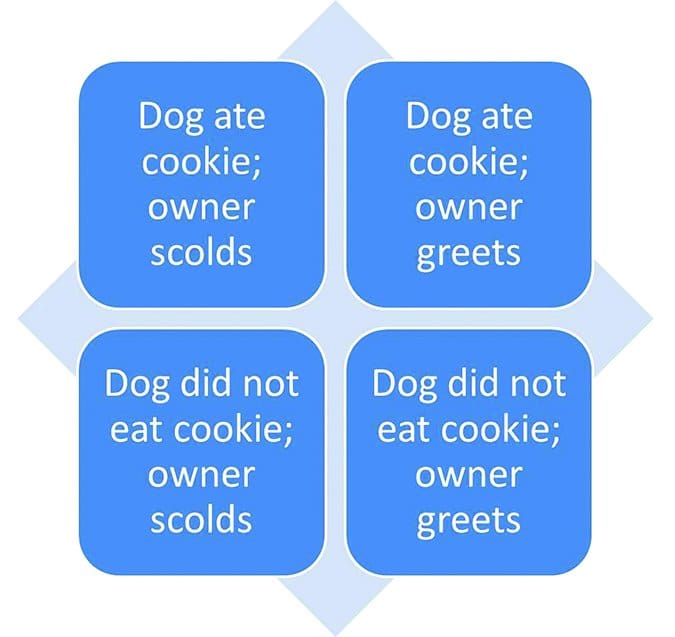 guilty dog scenarios