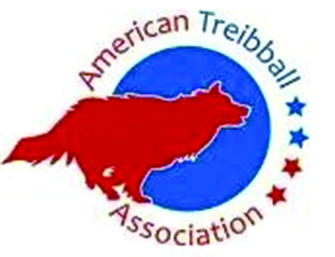 American Treiball Association