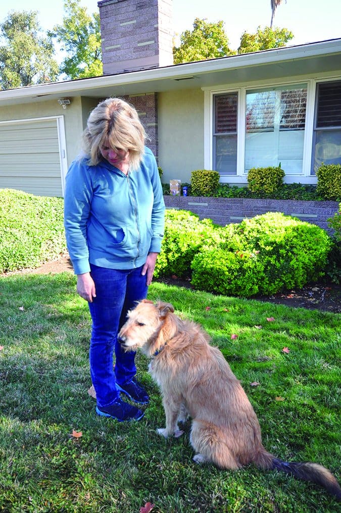 greeting a dog