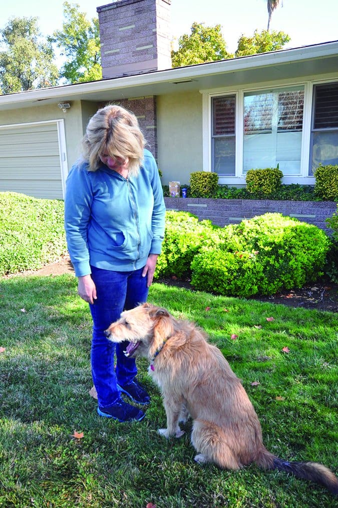 greeting a dog