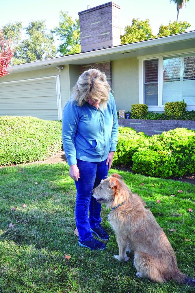 greeting a dog