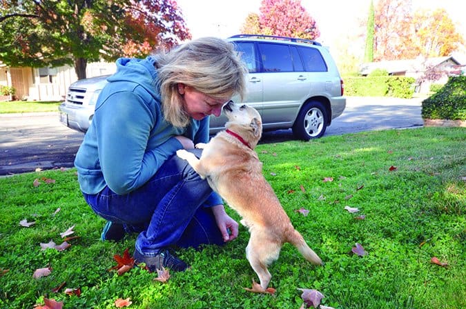 greeting a dog