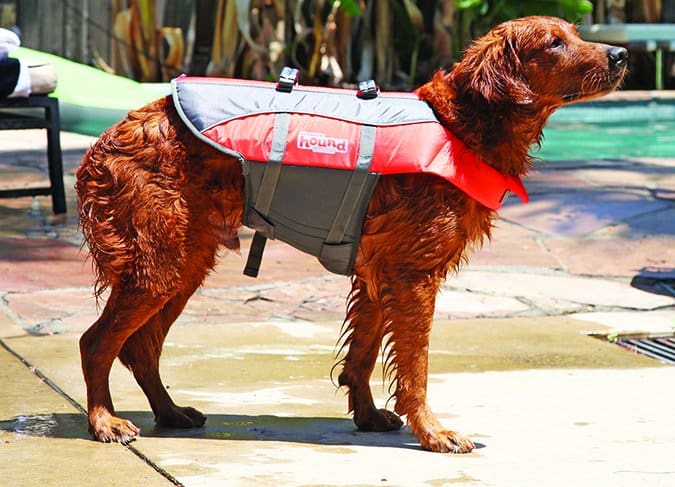 Best dog life jackets best sale 2019