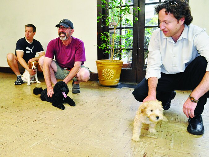Three adult men each hold a puppy; they are in a puppy socialization class