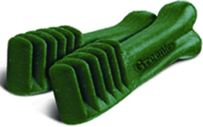 Greenies dog chews