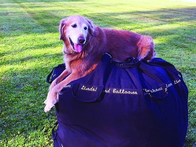 dog sitting on balloon bag