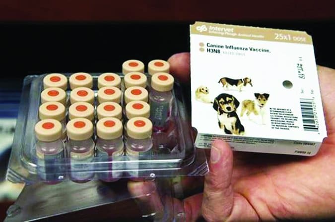 canine influenza virus vaccine