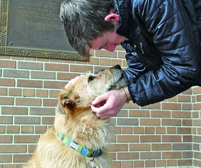 dog who likes head touched