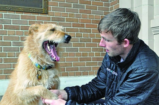 dog yawning deference signals