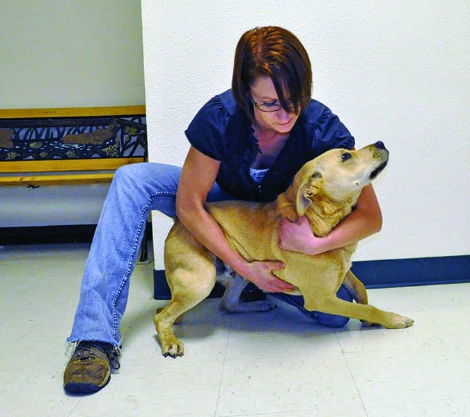 Dog stressed when held