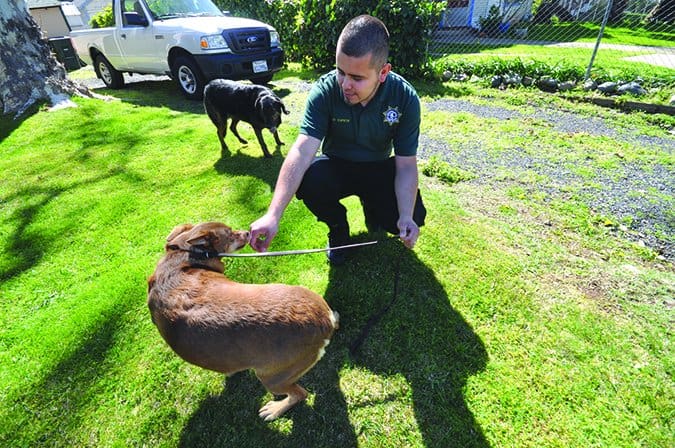 animal control officer