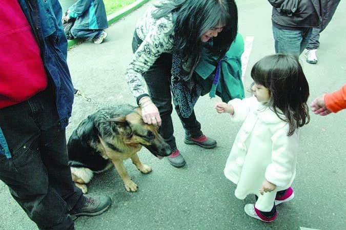 child meeting dog