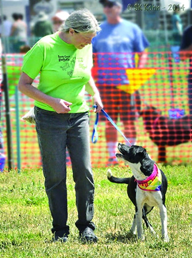 Santa Cruz Dog Training Club