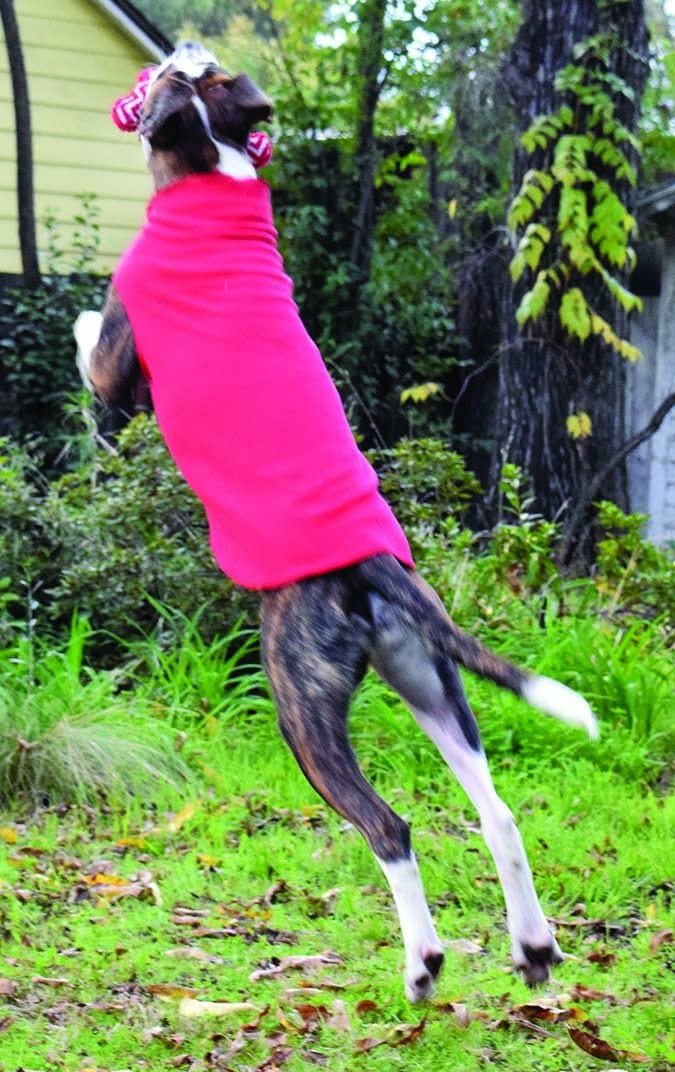 Gold Paws Stretch Fleece Coat