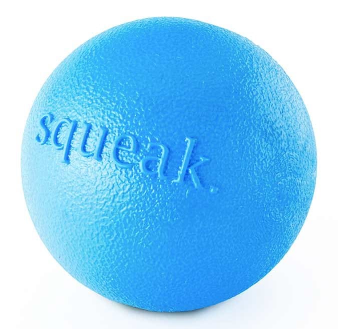 Planet Dog Orbee-Tuff Squeak Ball