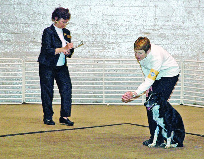 formal dog retrieval competition