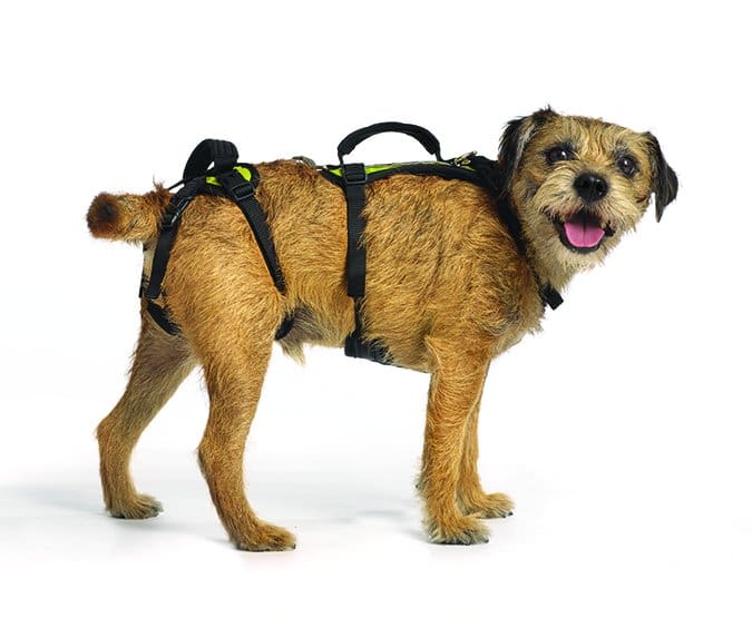 Help Em Up dog Harness