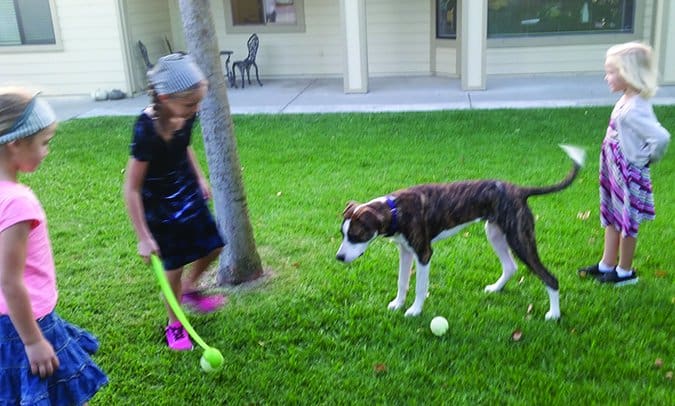 puppy and kids playing fetch