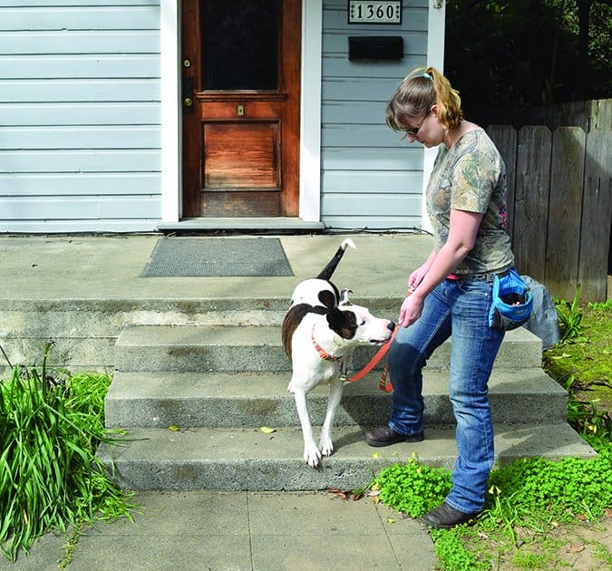 training loose leash walking