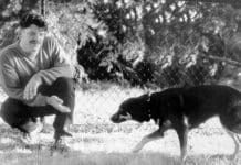 Dog appeasement signs can include a bowed head and lowered tail like this dog is displaying.