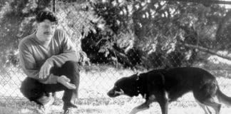 Dog appeasement signs can include a bowed head and lowered tail like this dog is displaying.