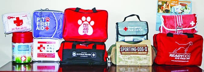 pet first aid kit