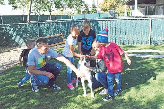 family meeting shelter dog