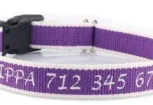 A dog wearing a snazzyfido bamboo collar for safety and comfort.