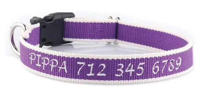 A dog wearing a snazzyfido bamboo collar for safety and comfort.