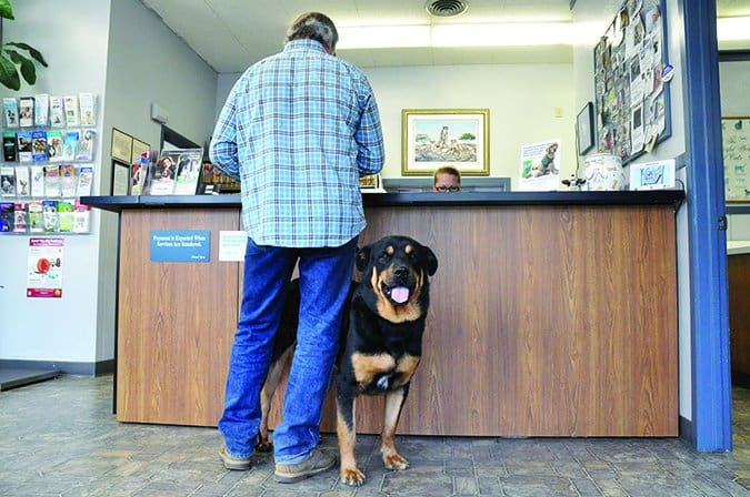 veterinarian visits