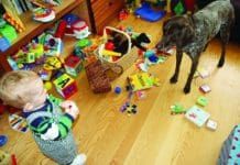 Sometimes rehoming a dog is the best option for keeping the dog and your family safe.
