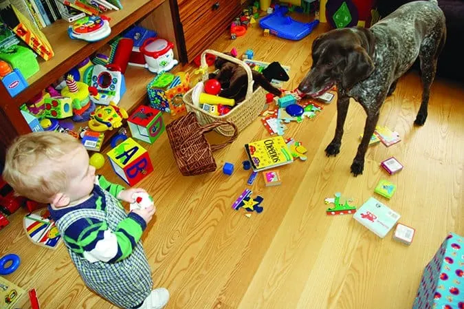 Sometimes rehoming a dog is the best option for keeping the dog and your family safe.
