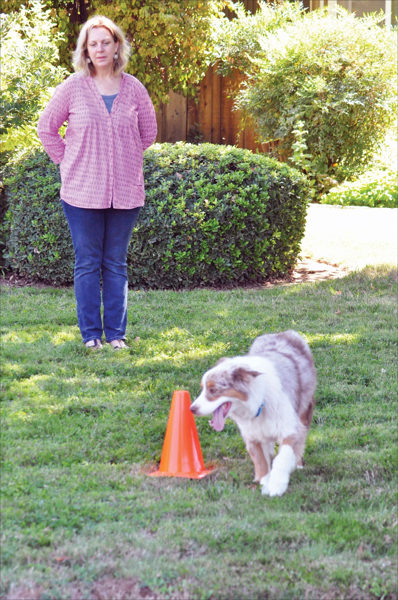 dog training imitation