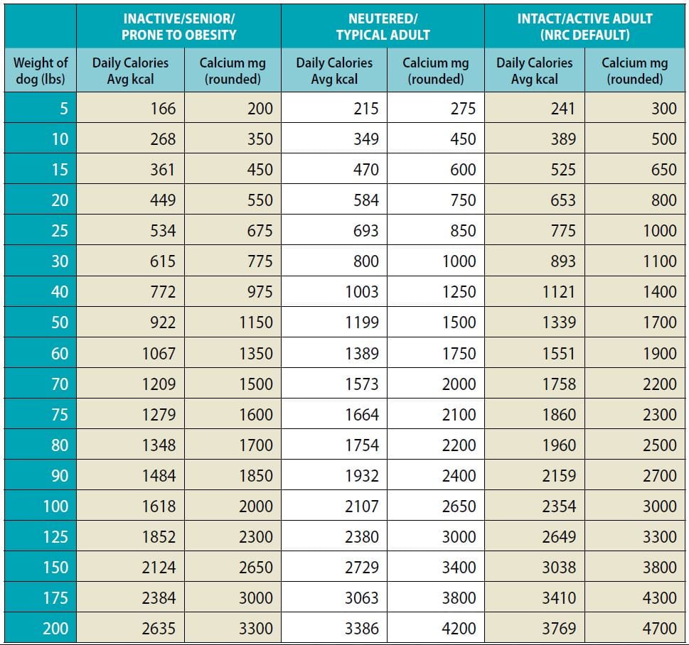 dog food calcium supplementation