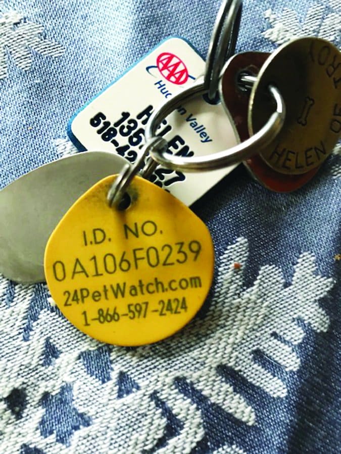 dog ID tags