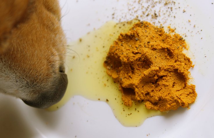Turmeric Golden Paste Dog Supplement