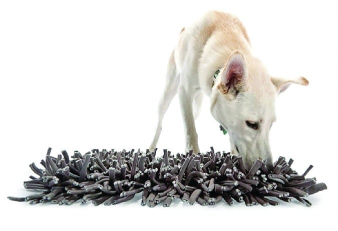 Sniffiz Smelly Matty Snuffle ball for Dogs - Interactive Treat IQ