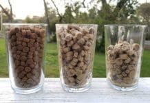 Soaking dry dog food in water can make it easier to swallow for senior dogs.