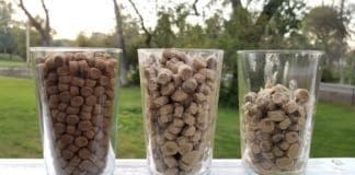 Soaking dry dog food in water can make it easier to swallow for senior dogs.