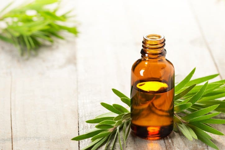 tea tree essential oil