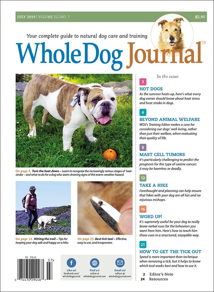 Download the Full July 2019 Issue PDF Whole Dog Journal